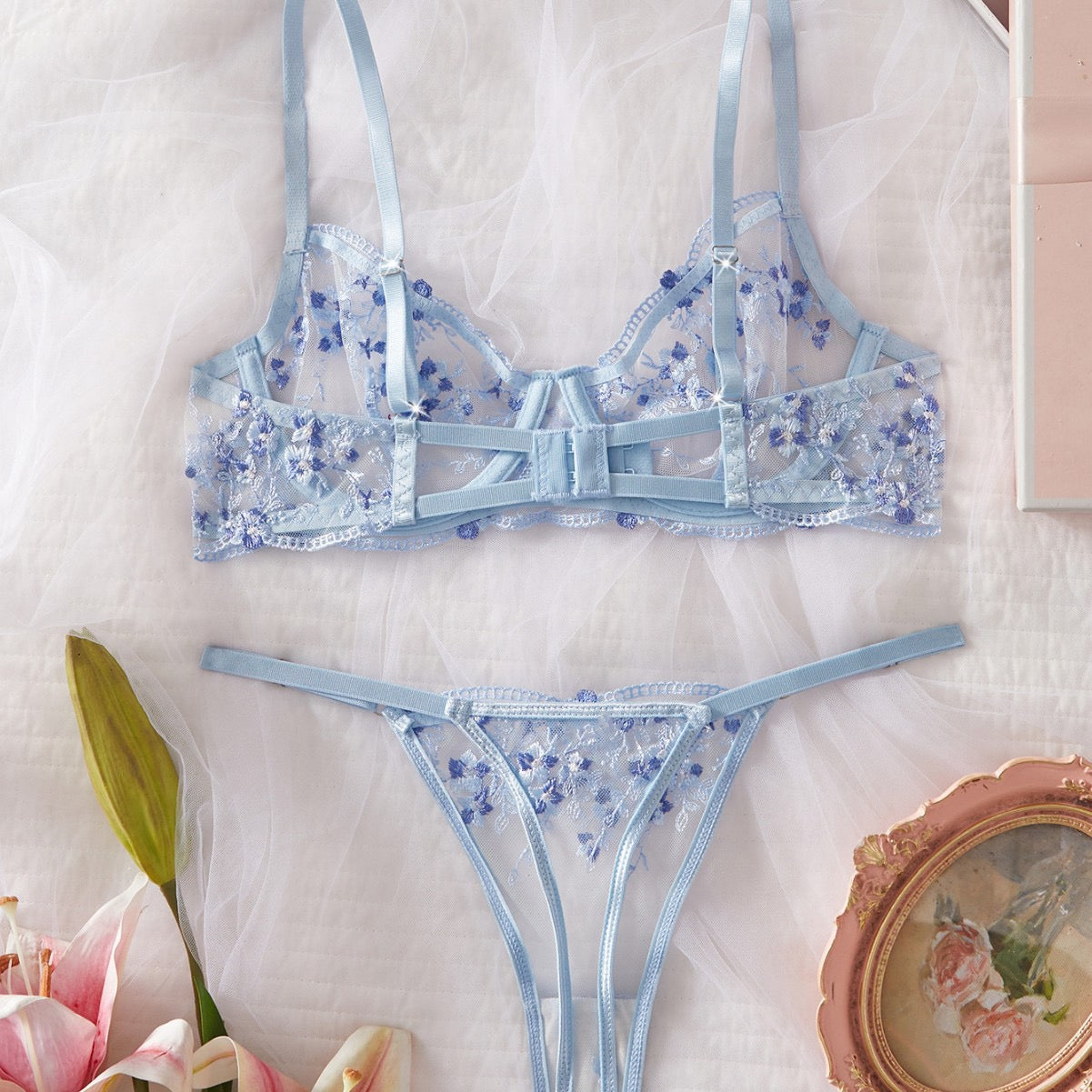 Baby blue embroidery lingerie set